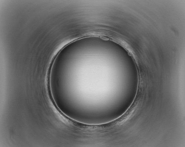 X0000111190803200907081255