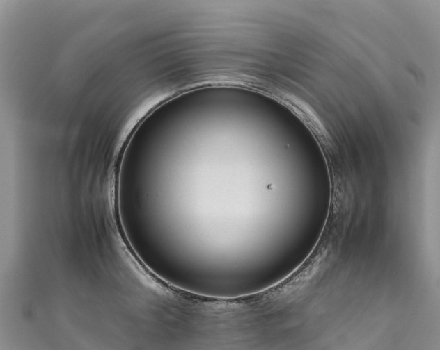 X0000111190804200907081255