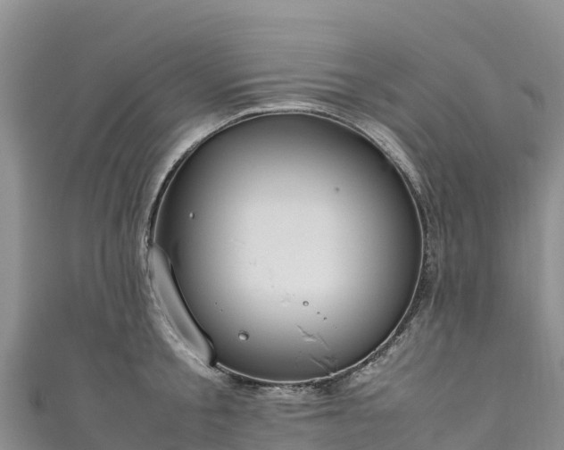 X0000111190805200907081255