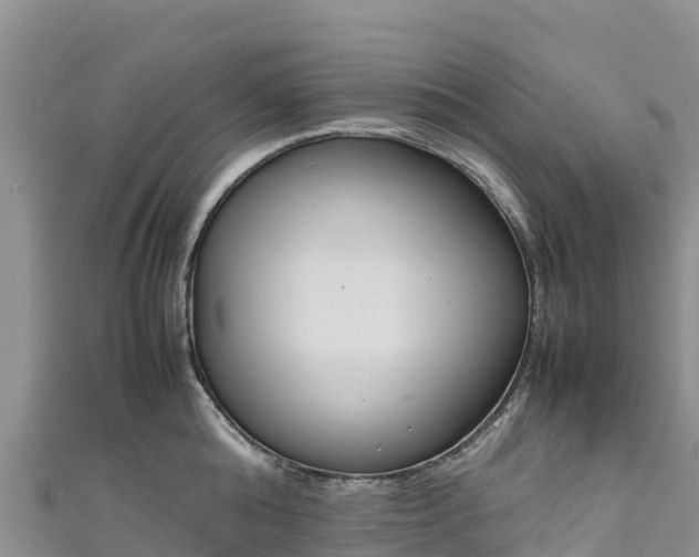 X0000111190808200907081255