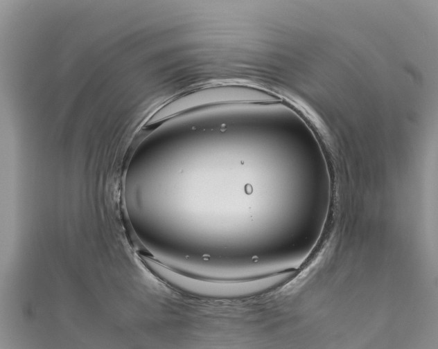 X0000111190809200907081255