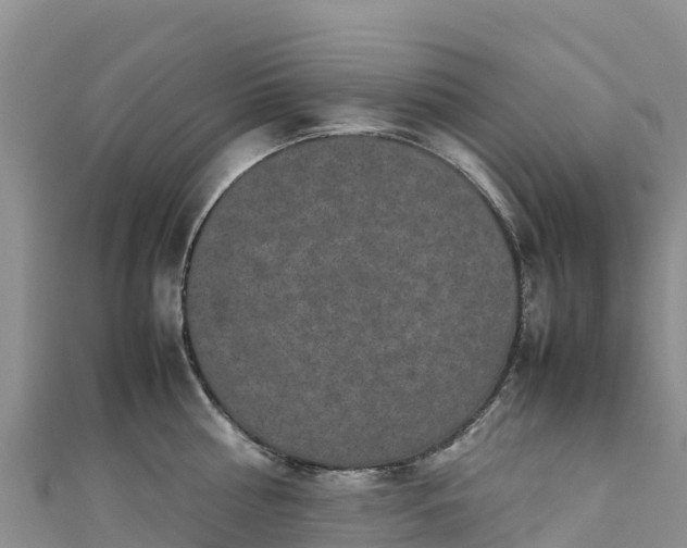 X0000111190810200907081255