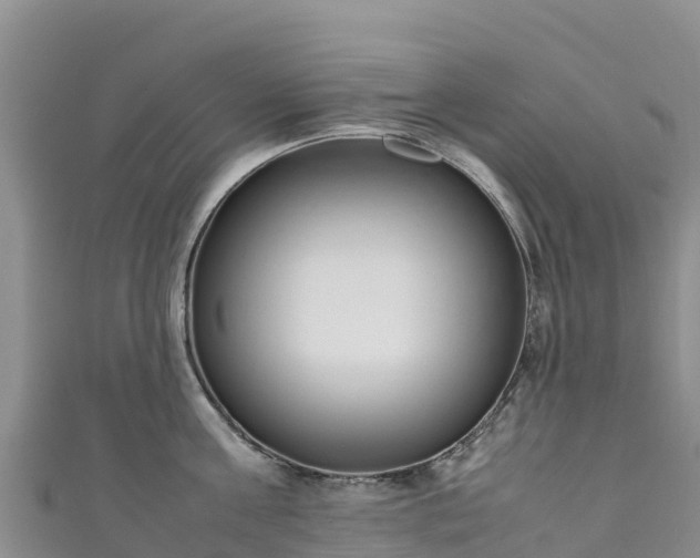 X0000111190811200907081255