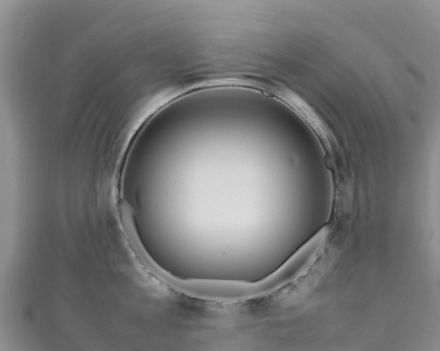 X0000111190813200907081255