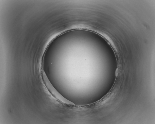 X0000111190815200907081255