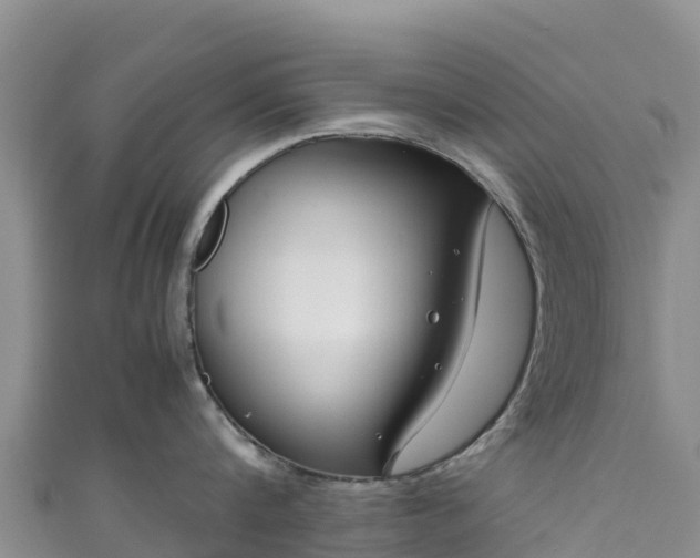 X0000111190816200907081255