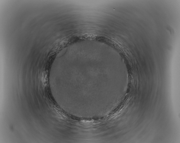 X0000111190818200907081254