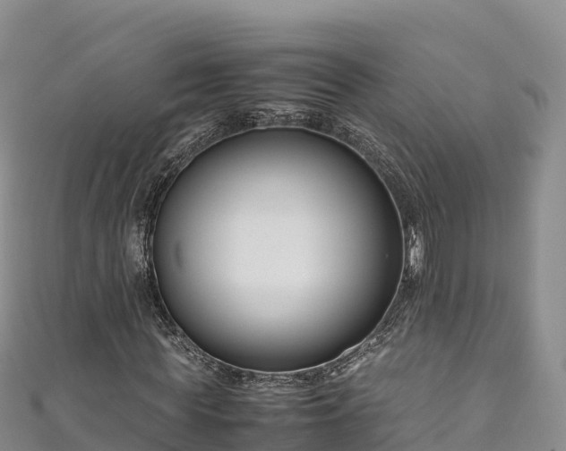 X0000111190819200907081254