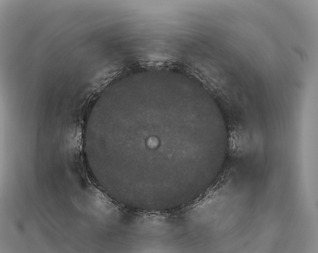 X0000111190820200907081254