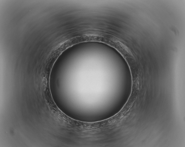 X0000111190821200907081254