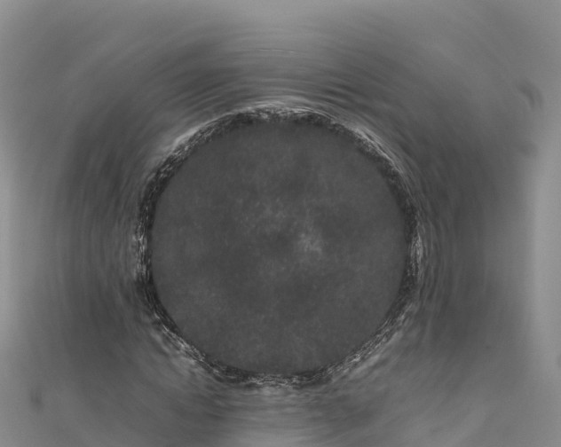 X0000111190822200907081254