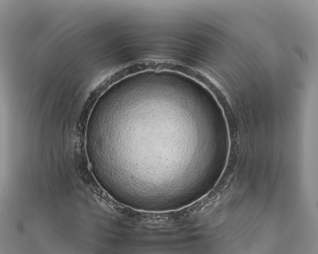 X0000111190823200907081254