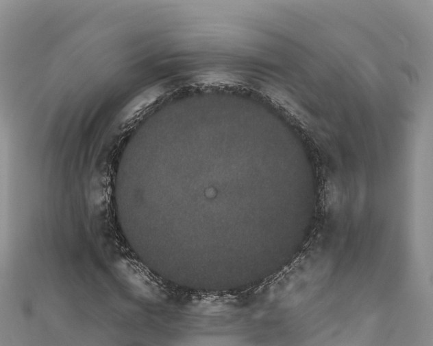 X0000111190824200907081254