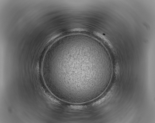 X0000111190825200907081254