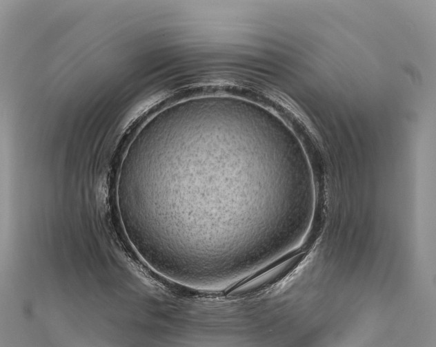 X0000111190826200907081254