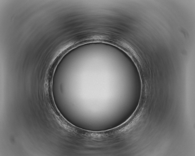 X0000111190827200907081254