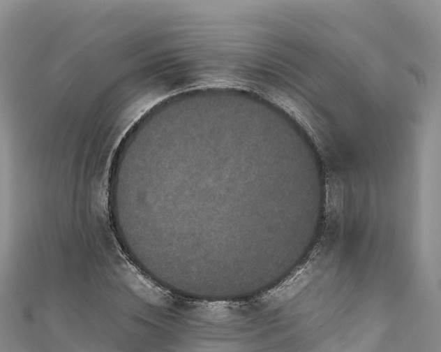 X0000111190828200907081254