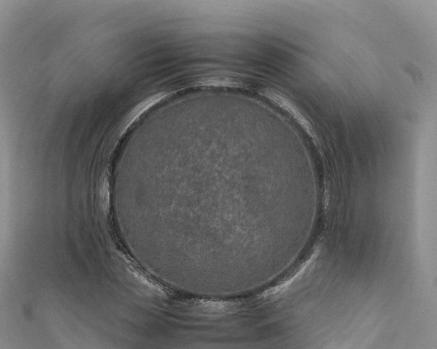 X0000111190829200907081254