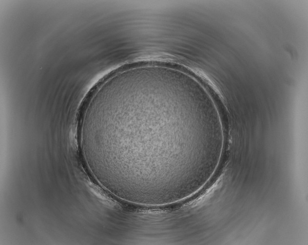 X0000111190830200907081254