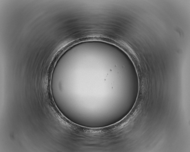 X0000111190831200907081254