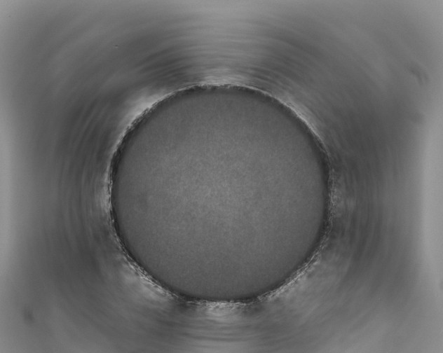 X0000111190832200907081254