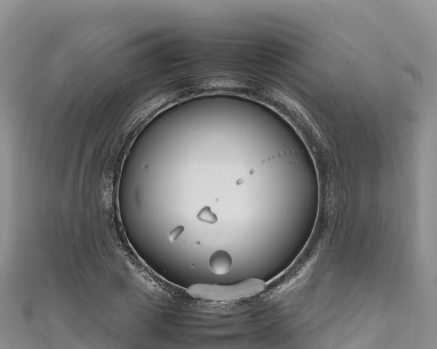 X0000111190833200907081254