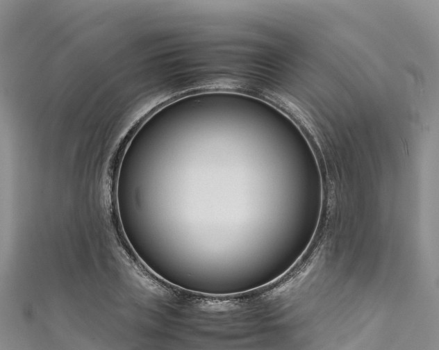 X0000111190835200907081254