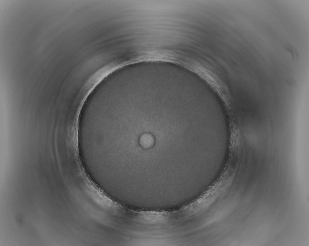 X0000111190836200907081254