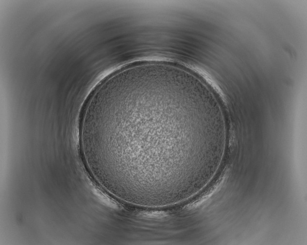 X0000111190837200907081254