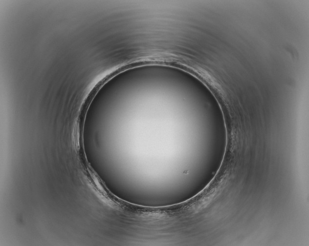 X0000111190838200907081254