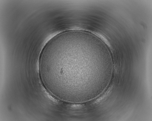 X0000111190839200907081254