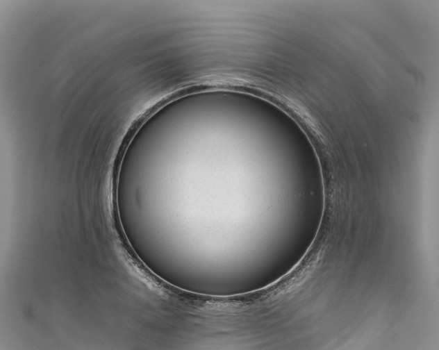 X0000111190840200907081254