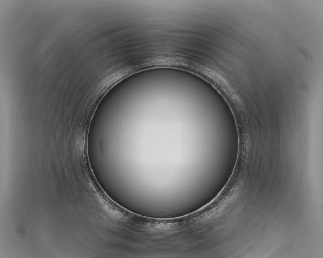 X0000111190841200907081254