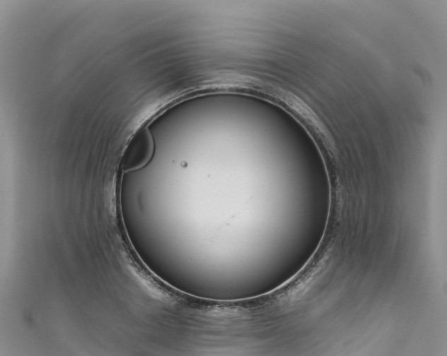 X0000111190842200907081254