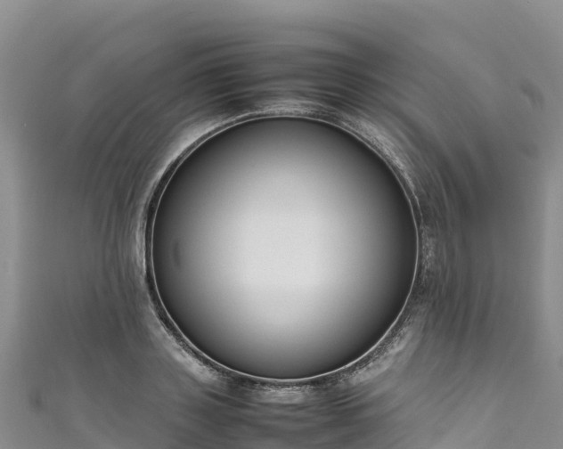 X0000111190843200907081254