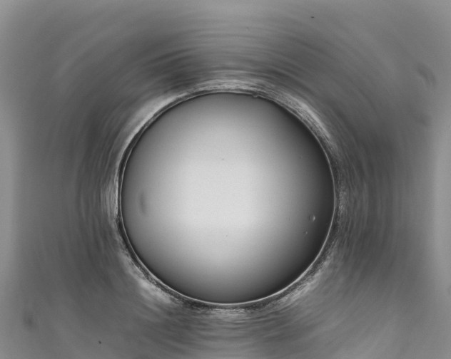 X0000111190844200907081254