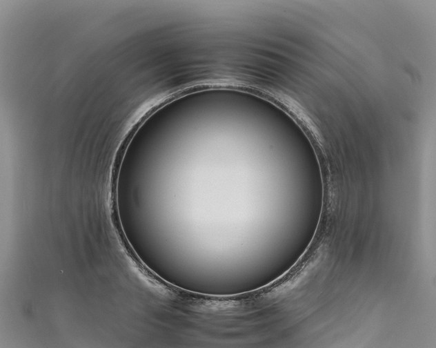 X0000111190845200907081254