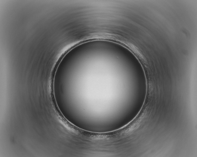 X0000111190846200907081254