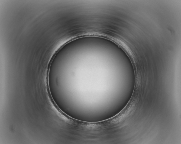 X0000111190847200907081254