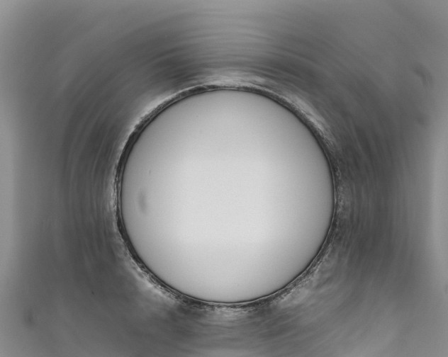 X0000111190848200907081254