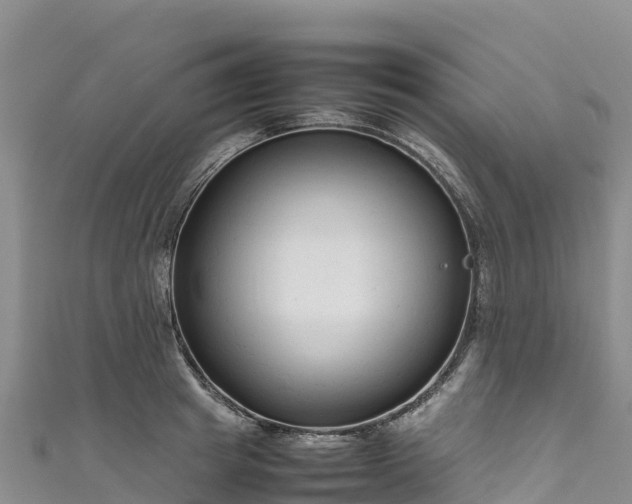 X0000111190849200907081254