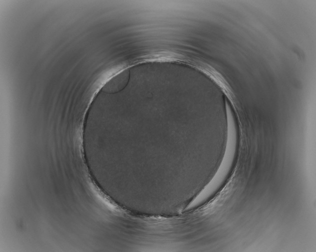 X0000111190850200907081254