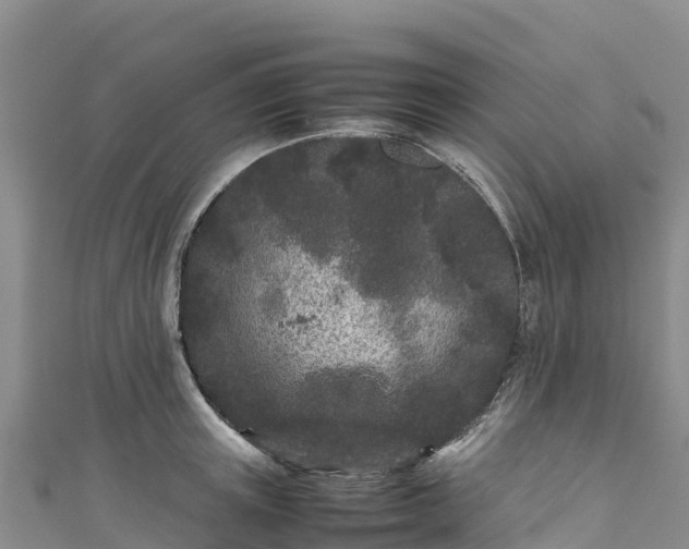 X0000111190851200907081254