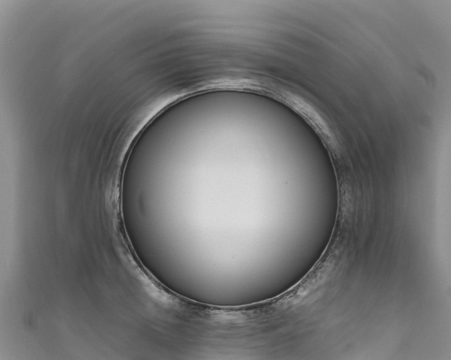 X0000111190852200907081255