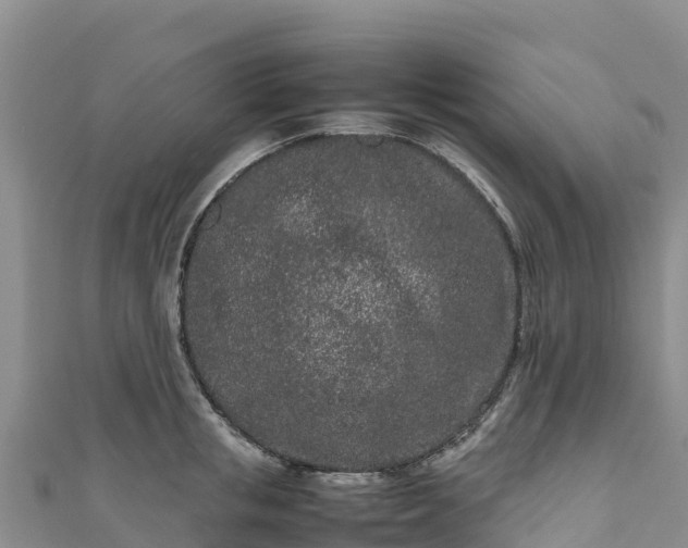 X0000111190853200907081255