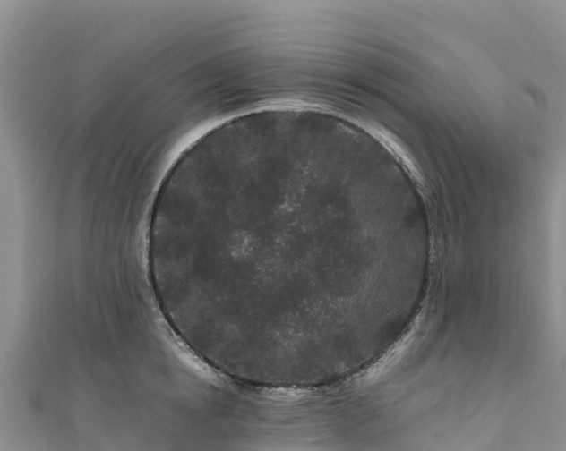 X0000111190854200907081255