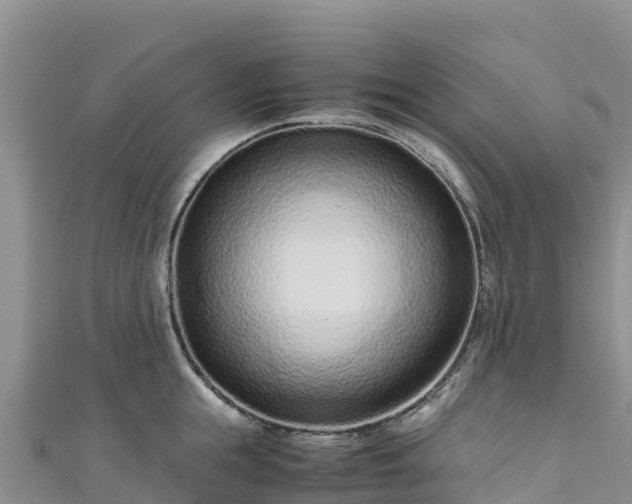 X0000111190855200907081255