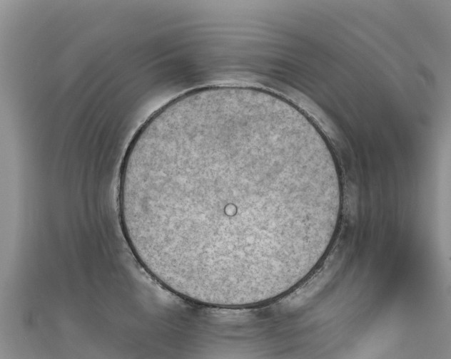 X0000111190856200907081255