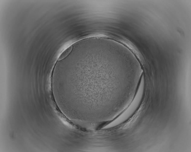 X0000111190858200907081255