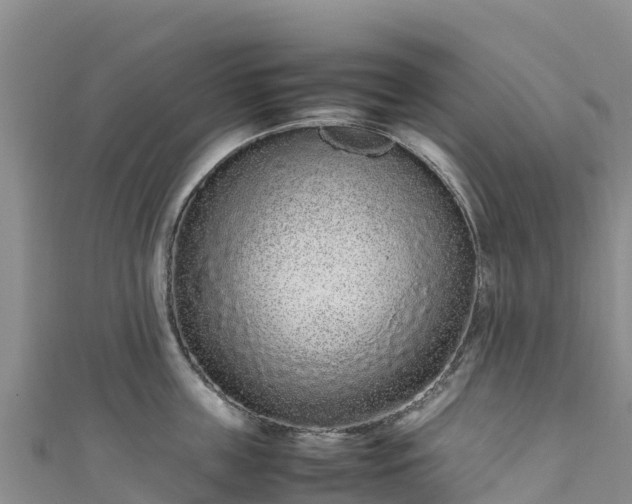 X0000111190859200907081255